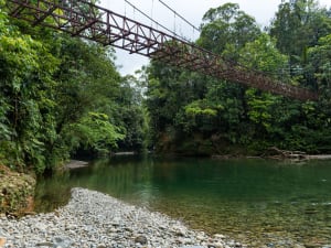 Río de San Cipriano con Disfruta Buenaventura